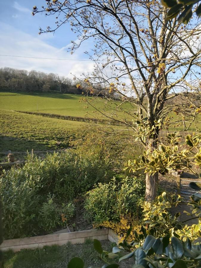 The Coach House Villa Llansantffraid-ym-Mechain Esterno foto